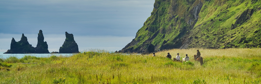 Horseback riding near Reynisdrangar in Iceland's green landscape.