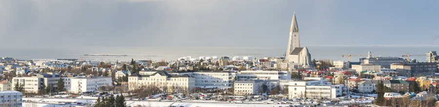 reykjavik, winter, iceland