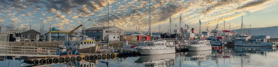 Fishing boats in Reykjavik harbor with mirror-like water.