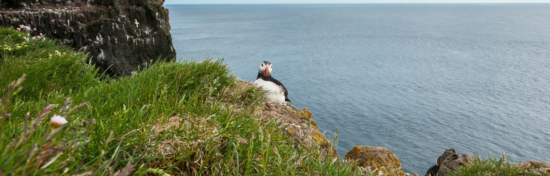 latrabjarg, iceland