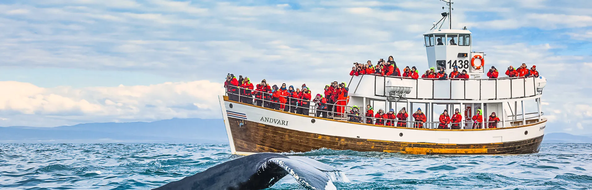 Whale watching in Húsavík, Iceland.